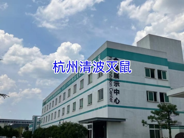 文章插图