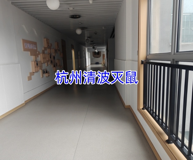 文章插图
