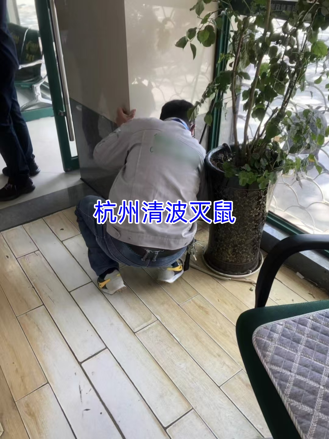 文章插图