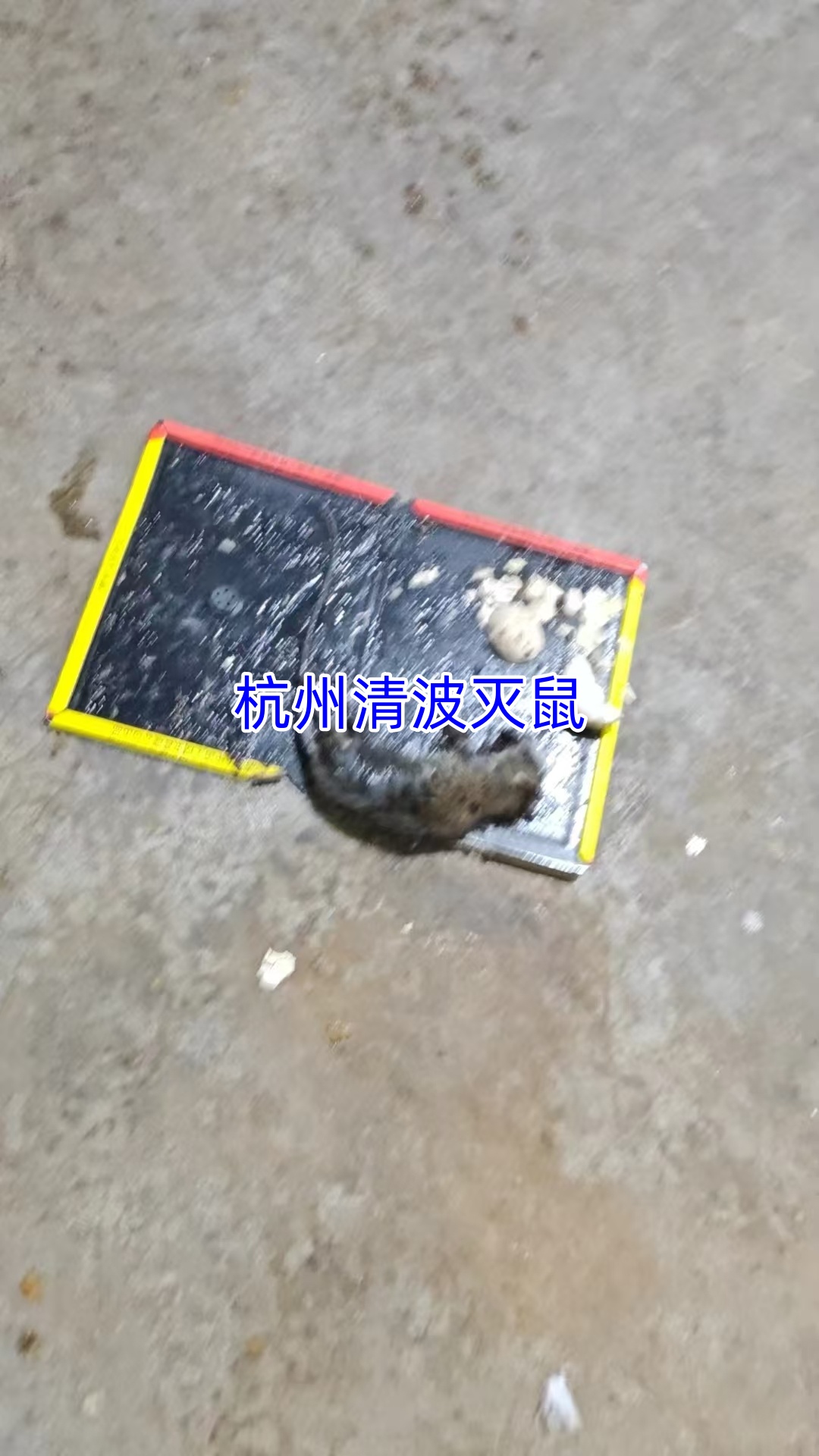 文章插图